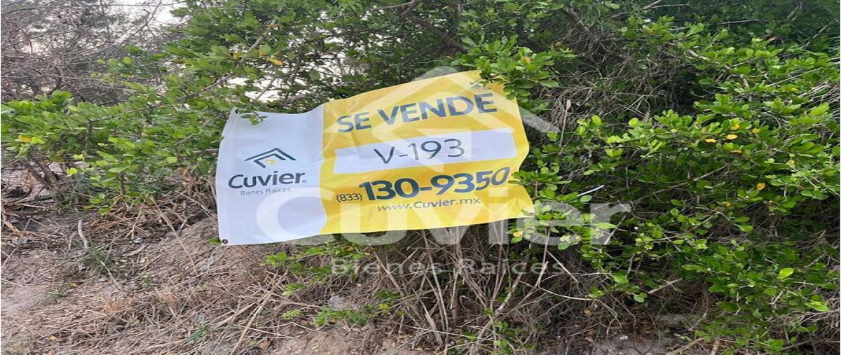 Foto de terreno habitacional en venta en  , hermenegildo galeana, ciudad madero, tamaulipas, 24991731 No. 03