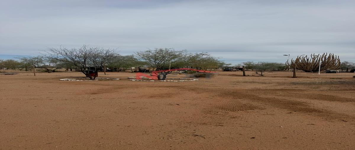 Foto de terreno habitacional en venta en  , hermosillo centro, hermosillo, sonora, 0 No. 05