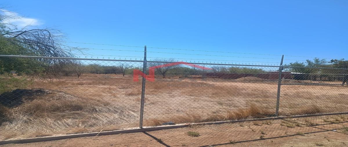 Foto de terreno habitacional en renta en  , hermosillo centro, hermosillo, sonora, 31634741 No. 04