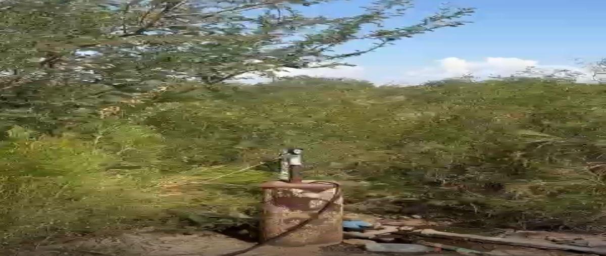 Foto de terreno habitacional en venta en  , hermosillo, hermosillo, sonora, 0 No. 03