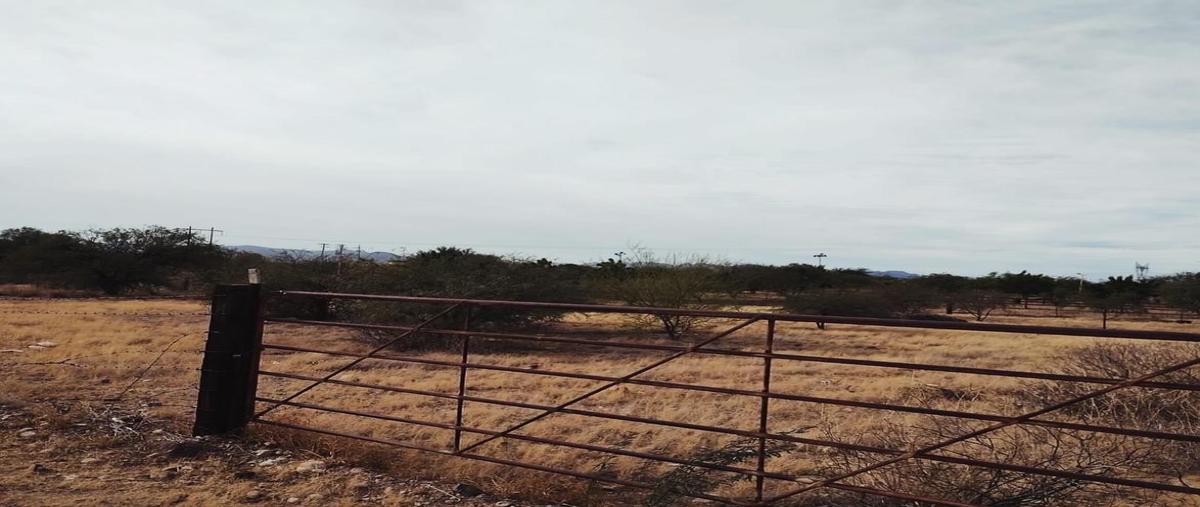Foto de terreno habitacional en venta en  , hermosillo, hermosillo, sonora, 0 No. 03