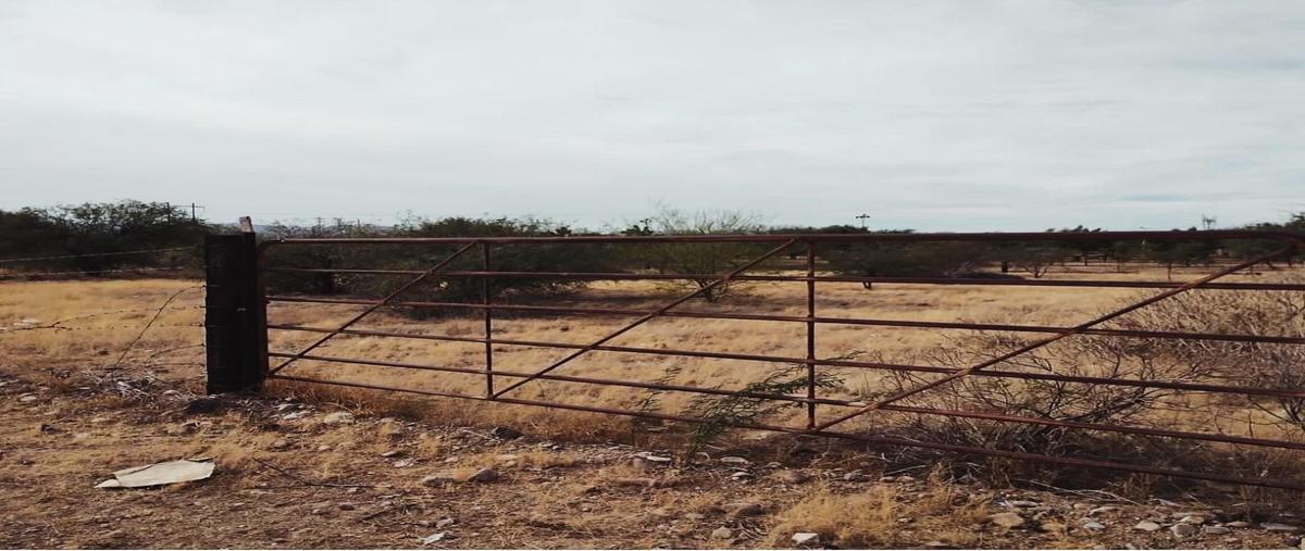 Foto de terreno habitacional en venta en  , hermosillo, hermosillo, sonora, 0 No. 05