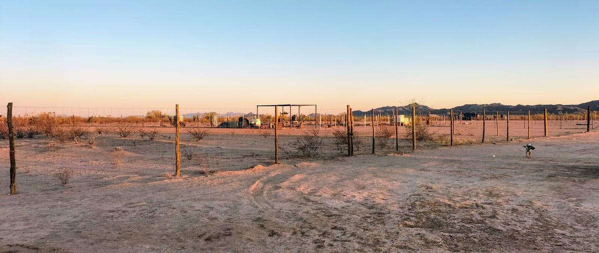 Foto de terreno habitacional en venta en  , hermosillo, hermosillo, sonora, 30163956 No. 04