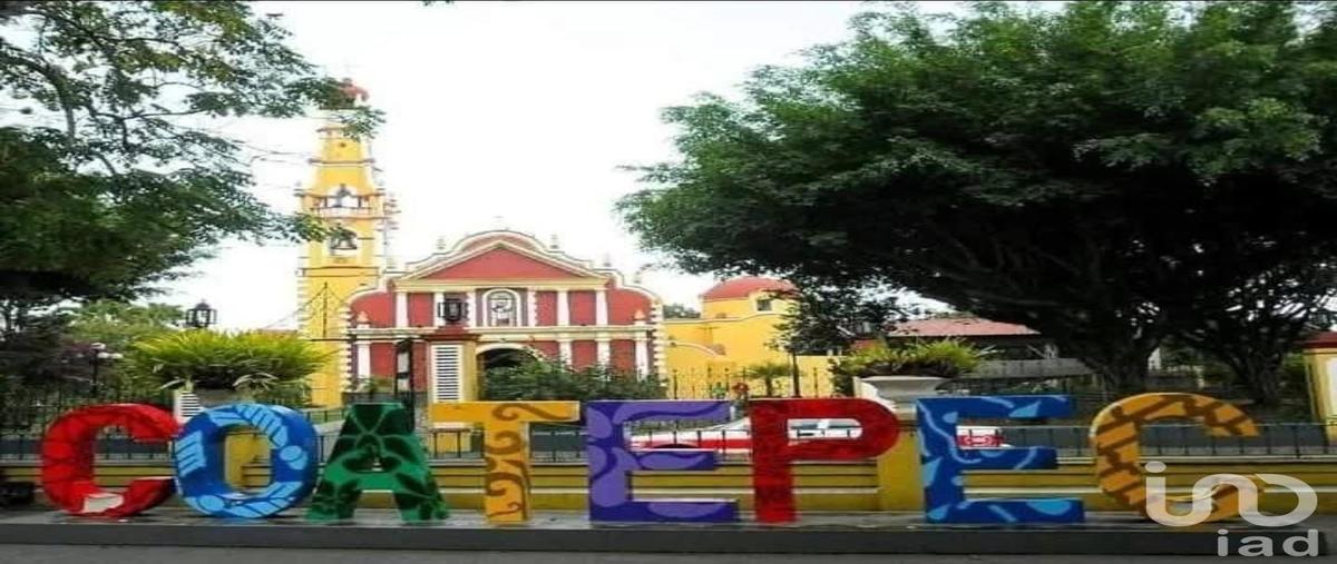 Foto de terreno habitacional en venta en hernández y hernández , los carriles, coatepec, veracruz de ignacio de la llave, 29760955 No. 03