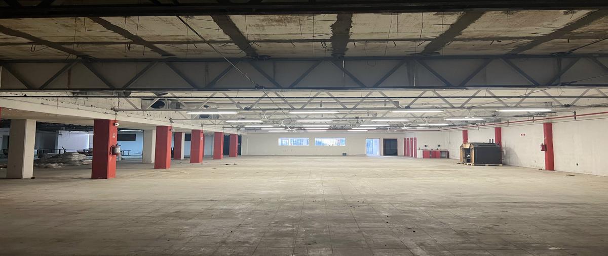 Foto de bodega en heroes de independencia , pueblo nuevo, la paz, baja california sur, 28924834 foto 04 Foto de bodega en venta en heroes de independencia , pueblo nuevo, la paz, baja california sur, 28924834 No. 04