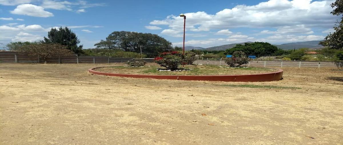 Foto de rancho en venta en  , heroica ciudad de ejutla de crespo centro, heroica ciudad de ejutla de crespo, oaxaca, 27673867 No. 05