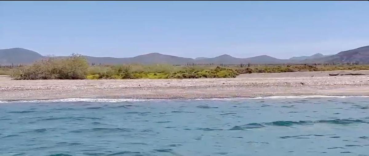 Foto de terreno habitacional en venta en  , heroica mulegé centro, mulegé, baja california sur, 0 No. 03