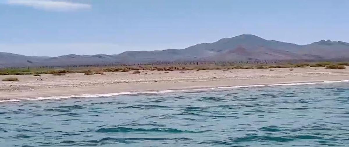 Foto de terreno habitacional en venta en  , heroica mulegé centro, mulegé, baja california sur, 0 No. 04