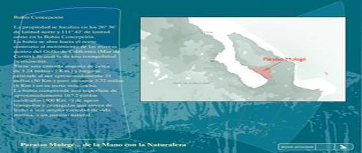 Foto de terreno comercial en venta en  , heroica mulegé centro, mulegé, baja california sur, 7790288 No. 04