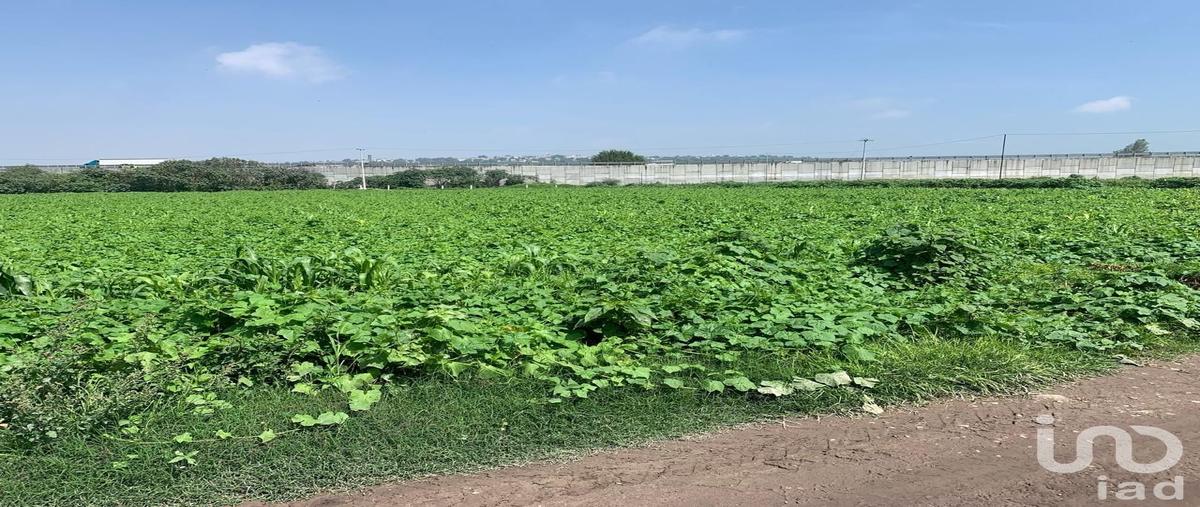 Foto de terreno habitacional en venta en herto castillo , san antonio xahuento, tultepec, méxico, 30123922 No. 03