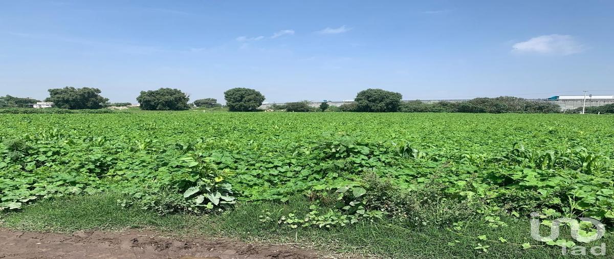 Foto de terreno habitacional en venta en herto castillo , san antonio xahuento, tultepec, méxico, 30123922 No. 04