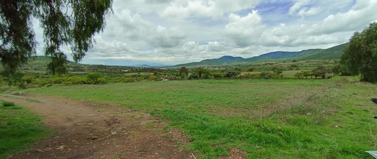 Foto de terreno habitacional en venta en hgo/zapotlán , san pedro huaquilpan, zapotlán de juárez, hidalgo, 0 No. 03