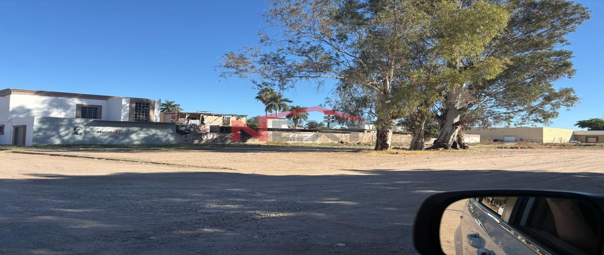 Foto de terreno habitacional en hidalgo 0, hidalgo, navojoa, sonora, 0 foto 01 Foto de terreno habitacional en venta en hidalgo 0, hidalgo, navojoa, sonora, 0 No. 01