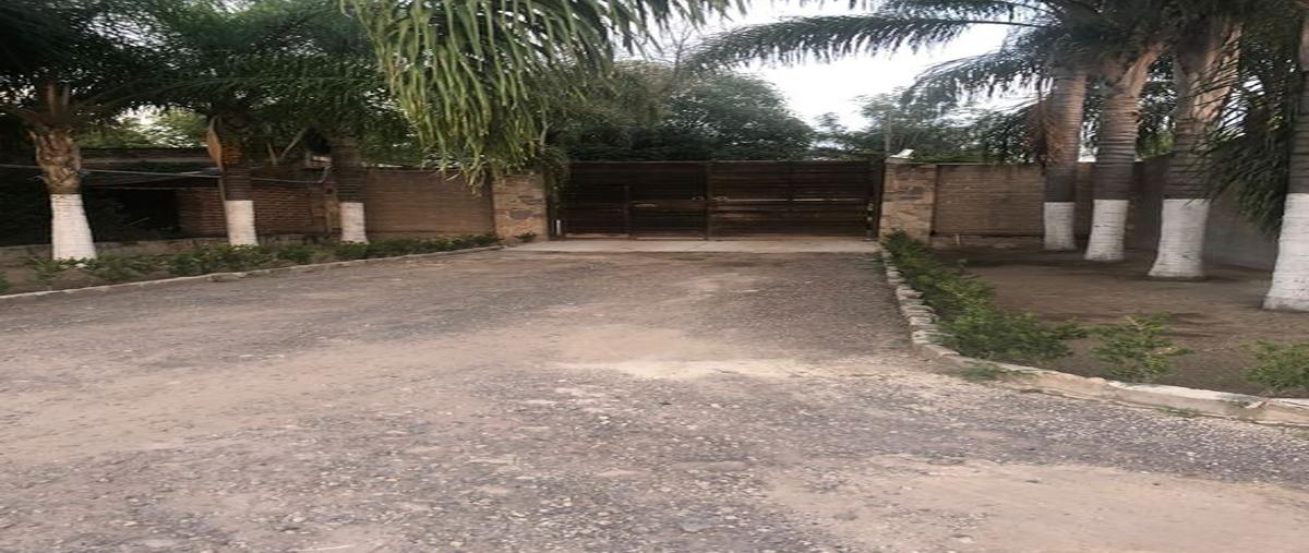 Foto de terreno habitacional en venta en hidalgo 100, la laja, zapotlanejo, jalisco, 0 No. 02