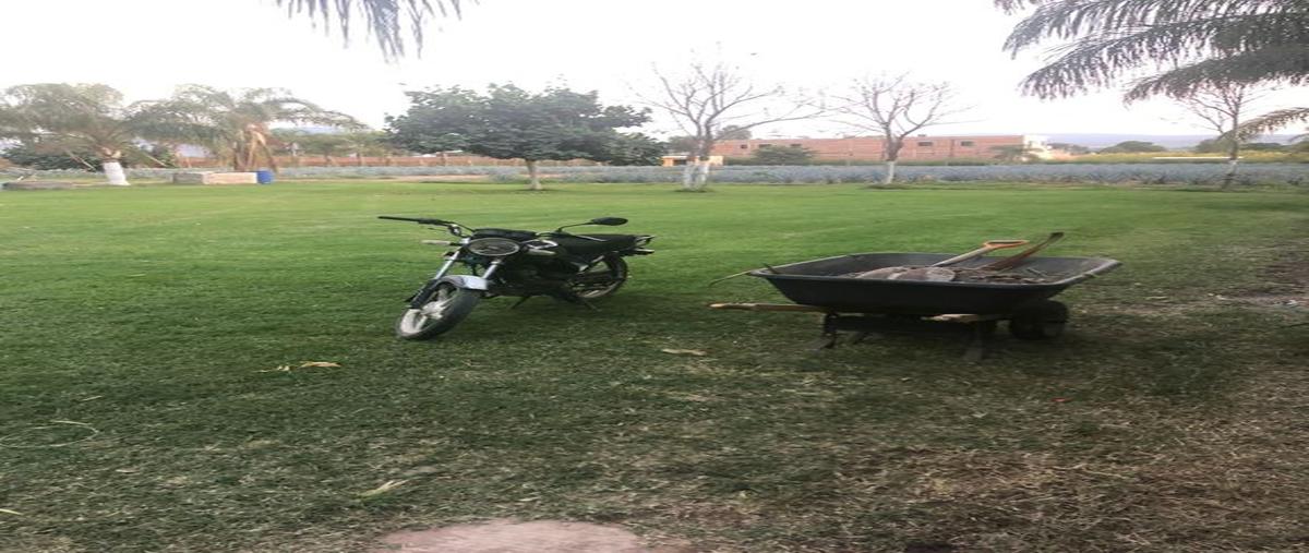 Foto de terreno habitacional en venta en hidalgo 100, la laja, zapotlanejo, jalisco, 0 No. 03