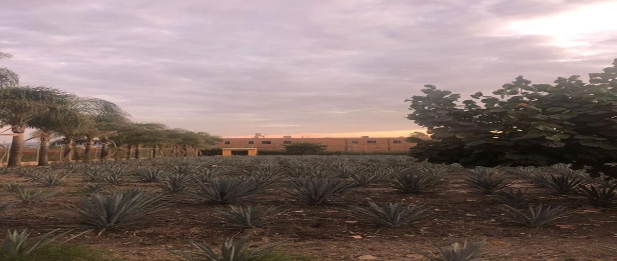 Foto de terreno habitacional en venta en hidalgo 100, la laja, zapotlanejo, jalisco, 0 No. 05