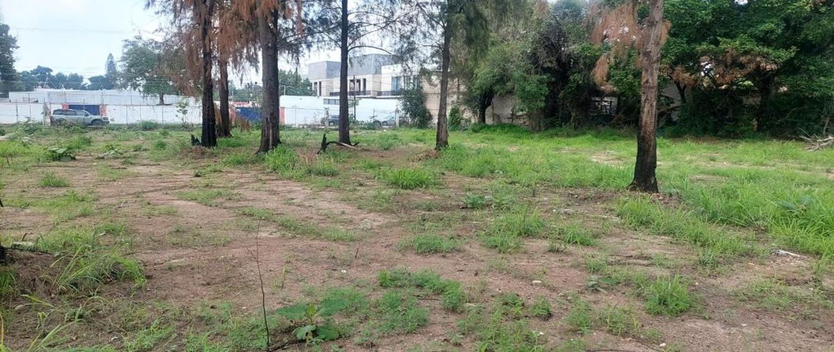 Foto de terreno habitacional en venta en hidalgo 355, los gavilanes poniente, tlajomulco de zúñiga, jalisco, 0 No. 05
