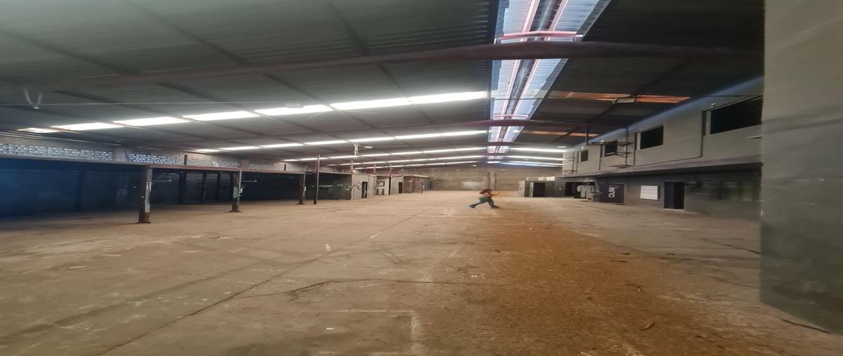 Foto de bodega en venta en hidalgo , centro, monterrey, nuevo león, 30183123 No. 04