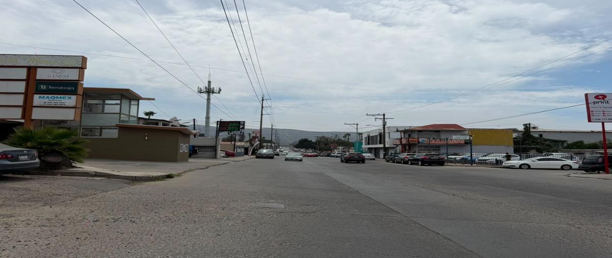 Foto de local en venta en  , hidalgo, ensenada, baja california, 0 No. 03