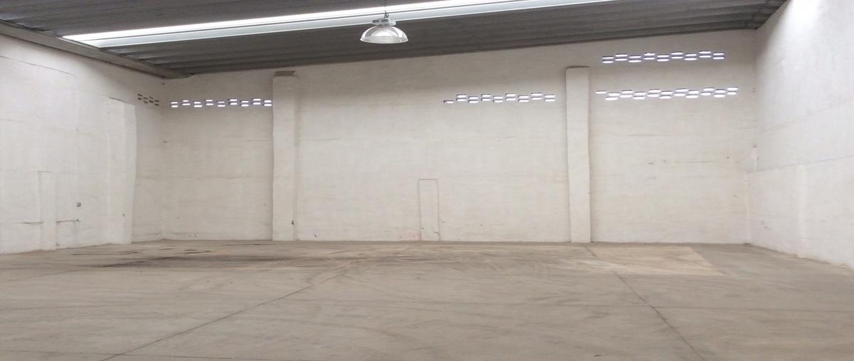 Foto de bodega en renta en hidalgo , felipe angeles, el salto, jalisco, 30320137 No. 03