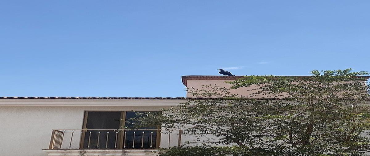 Foto de casa en venta en hidalgo , los gavilanes, tlajomulco de zúñiga, jalisco, 0 No. 04