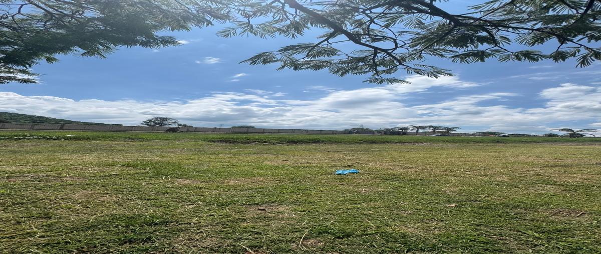 Foto de terreno habitacional en venta en hidalgo, lote , bellavista, acatlán de juárez, jalisco, 30420445 No. 05