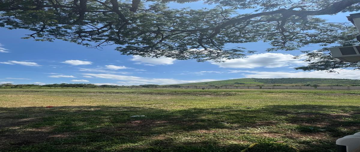 Foto de terreno habitacional en venta en hidalgo, lote , bellavista, acatlán de juárez, jalisco, 30430165 No. 05