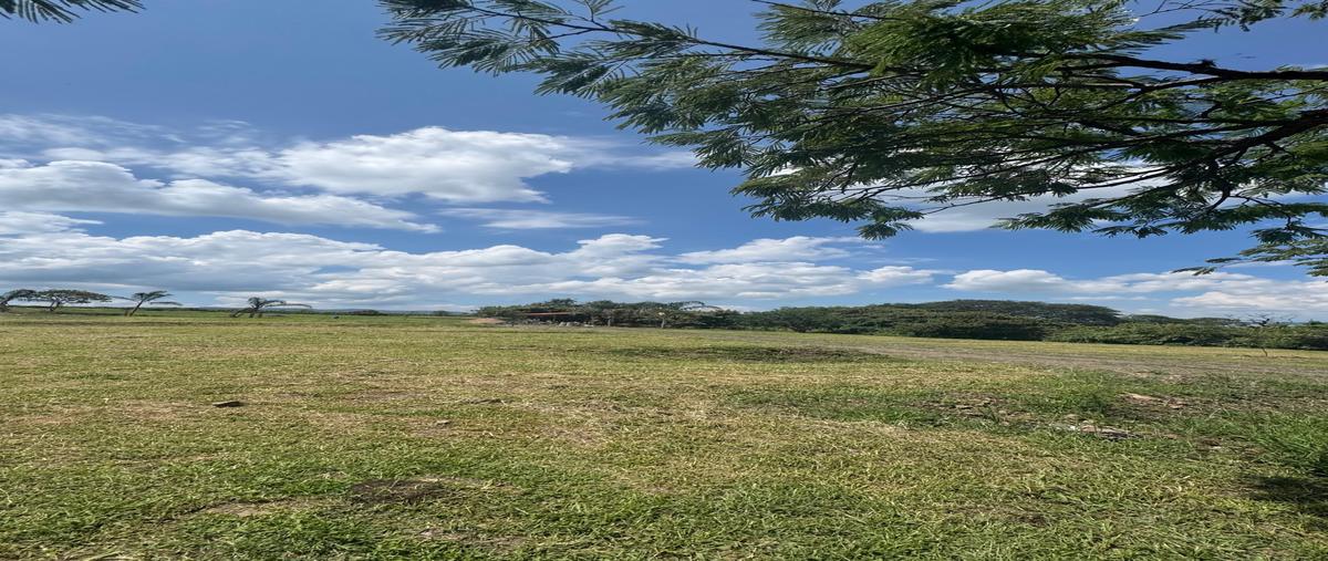 Foto de terreno habitacional en venta en hidalgo, lote , bellavista, acatlán de juárez, jalisco, 30439061 No. 05
