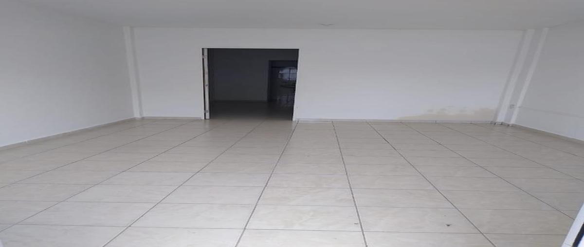 Foto de local en renta en  , hidalgo oriente, ciudad madero, tamaulipas, 0 No. 04