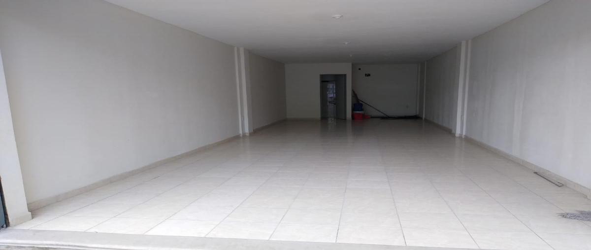 Foto de local en renta en  , hidalgo oriente, ciudad madero, tamaulipas, 0 No. 05