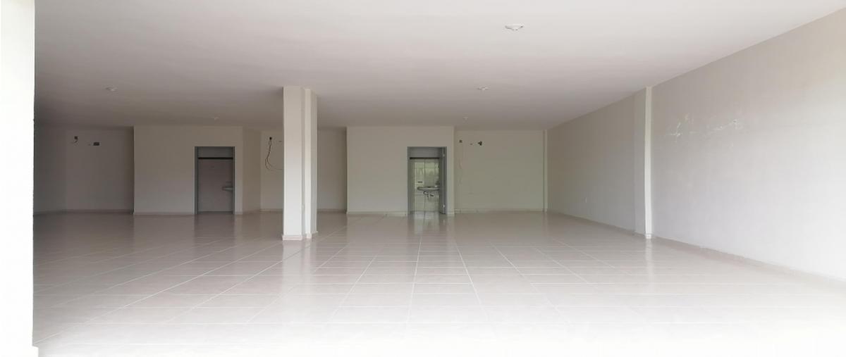 Foto de local en renta en  , hidalgo oriente, ciudad madero, tamaulipas, 0 No. 03