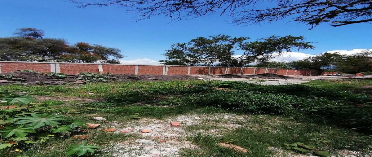 Foto de terreno habitacional en venta en hidalgo oriente , san pedro tesistán, jocotepec, jalisco, 0 No. 03