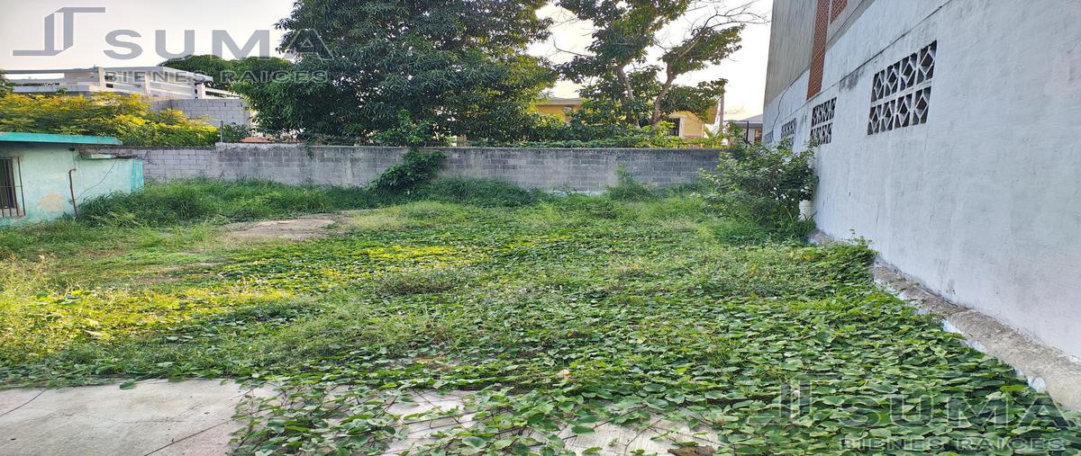 Foto de terreno habitacional en renta en  , hidalgo poniente, ciudad madero, tamaulipas, 0 No. 05