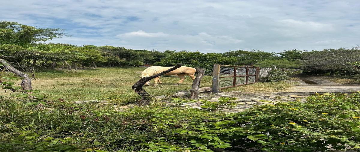 Foto de terreno habitacional en venta en hidalgo privada lote 15 , santa cruz de la soledad, chapala, jalisco, 0 No. 04