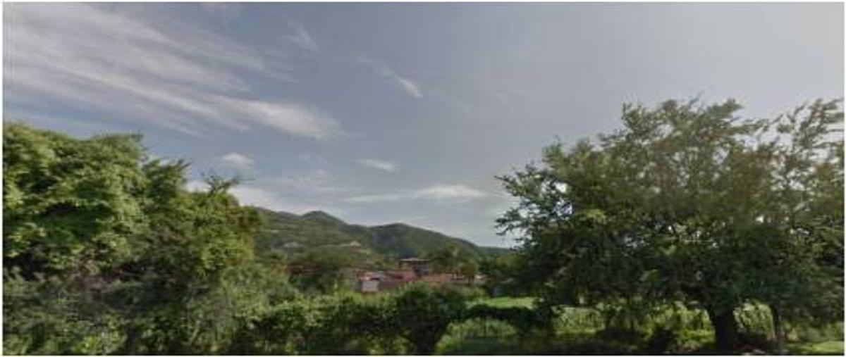 Foto de terreno comercial en renta en hidalgo , san antonio tlayacapan, chapala, jalisco, 0 No. 04