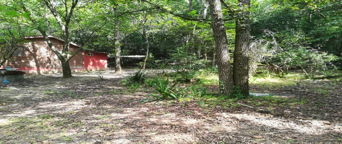 Foto de terreno habitacional en venta en hidalgo , san francisco, santiago, nuevo león, 27314154 No. 04