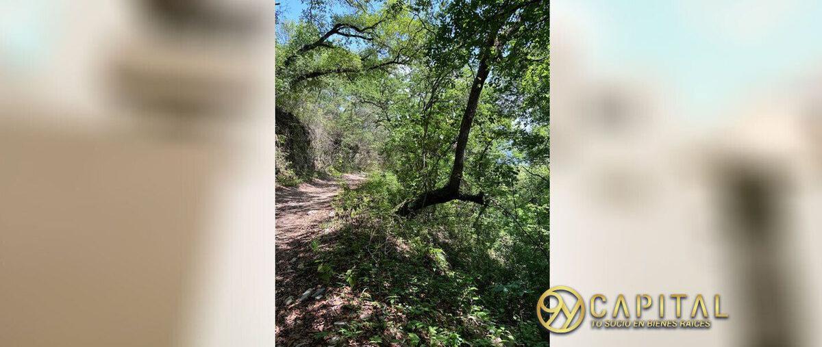 Foto de terreno habitacional en venta en hidalgo , san francisco, santiago, nuevo león, 28154127 No. 04