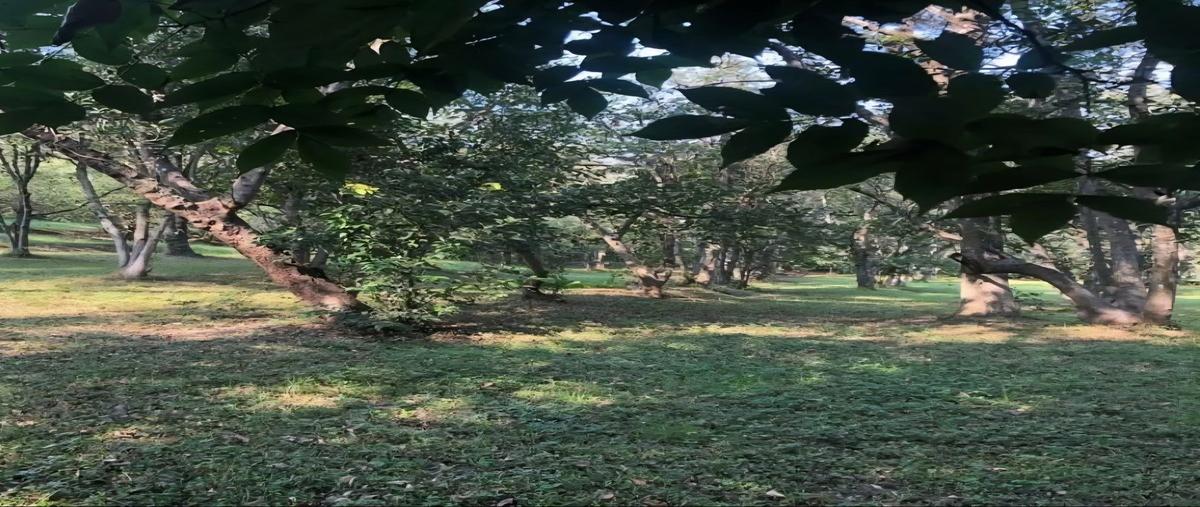 Foto de terreno habitacional en venta en hidalgo , san francisco, santiago, nuevo león, 30055406 No. 03