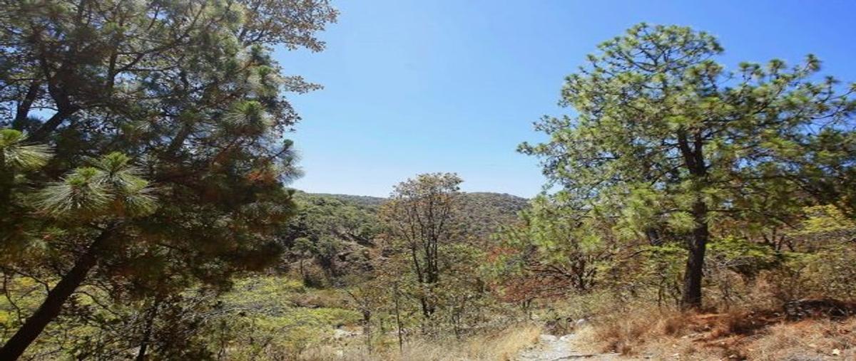 Foto de terreno habitacional en venta en hidalgo , san francisco tesistán, zapopan, jalisco, 0 No. 04