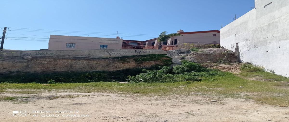 Foto de terreno habitacional en venta en  , hidalgo, tijuana, baja california, 24702889 No. 03