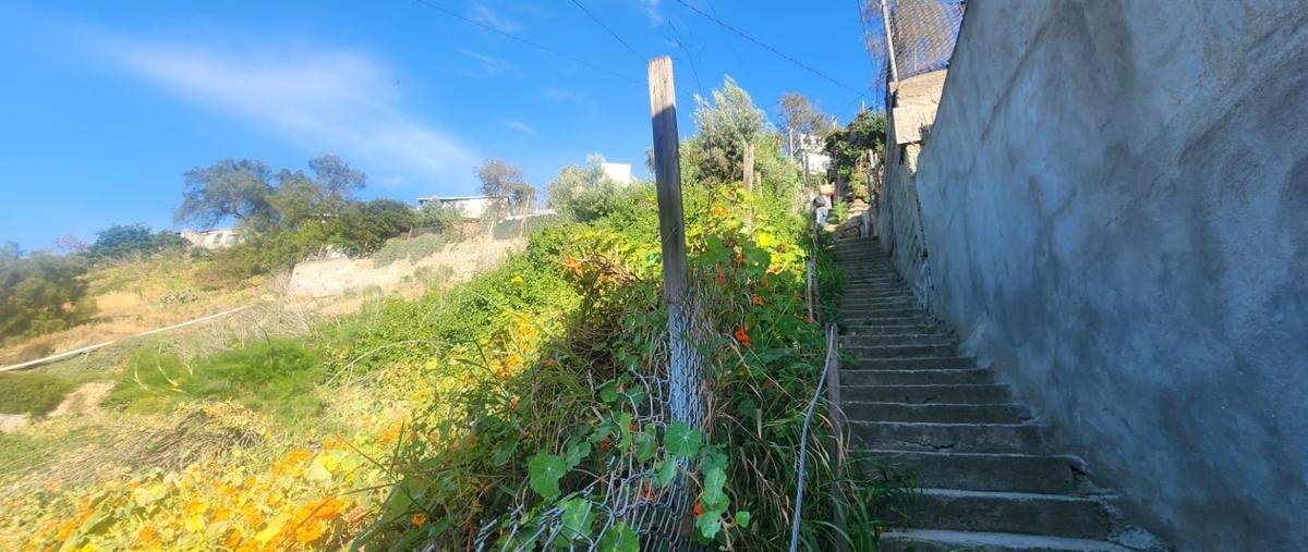 Foto de terreno habitacional en venta en  , hidalgo, tijuana, baja california, 0 No. 03