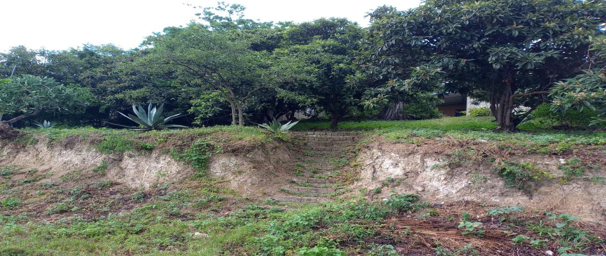 Foto de terreno habitacional en venta en hidalgo , vista hermosa, san agustín etla, oaxaca, 30127119 No. 03