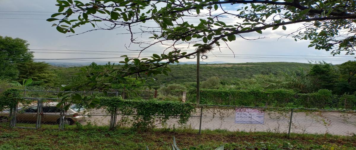 Foto de terreno habitacional en venta en hidalgo , vista hermosa, san agustín etla, oaxaca, 30127119 No. 05