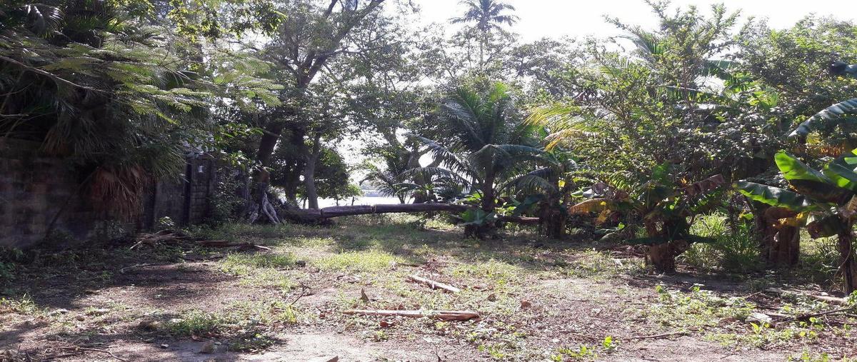 Foto de terreno habitacional en venta en hidroeléctrica s/n entre presa falcón y presa de la angostura. colonia trópico de la rivera , trópico de la rivera, coatzacoalcos, veracruz de ignacio de la llave, 25054052 No. 04