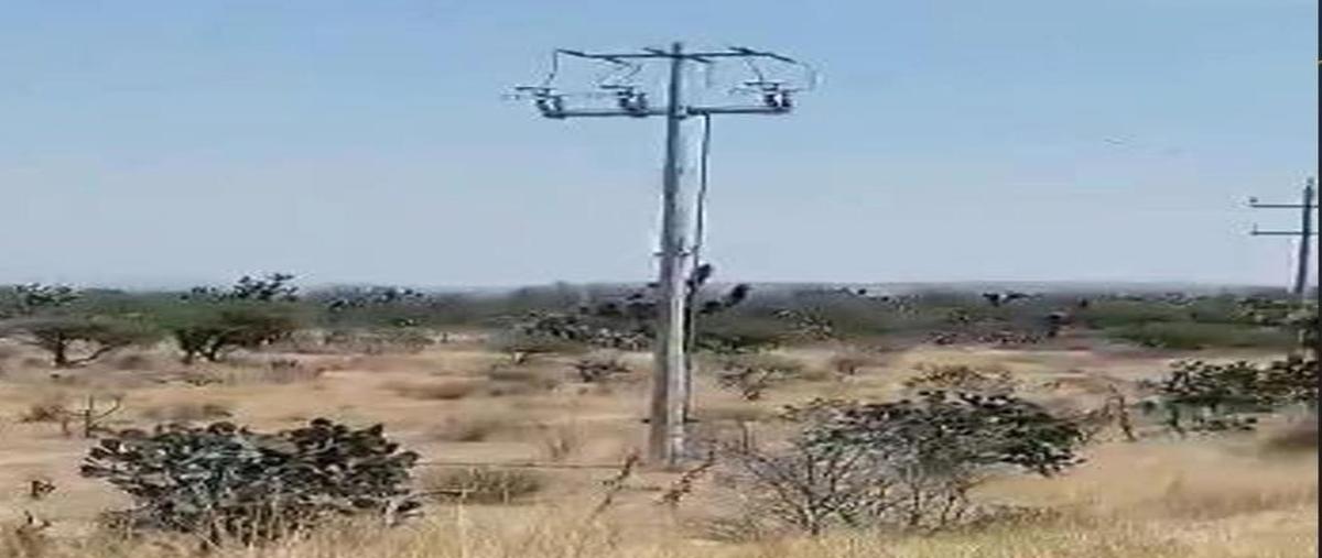 Foto de rancho en venta en hierba de matancillas , ojuelos de jalisco, ojuelos de jalisco, jalisco, 27007236 No. 04