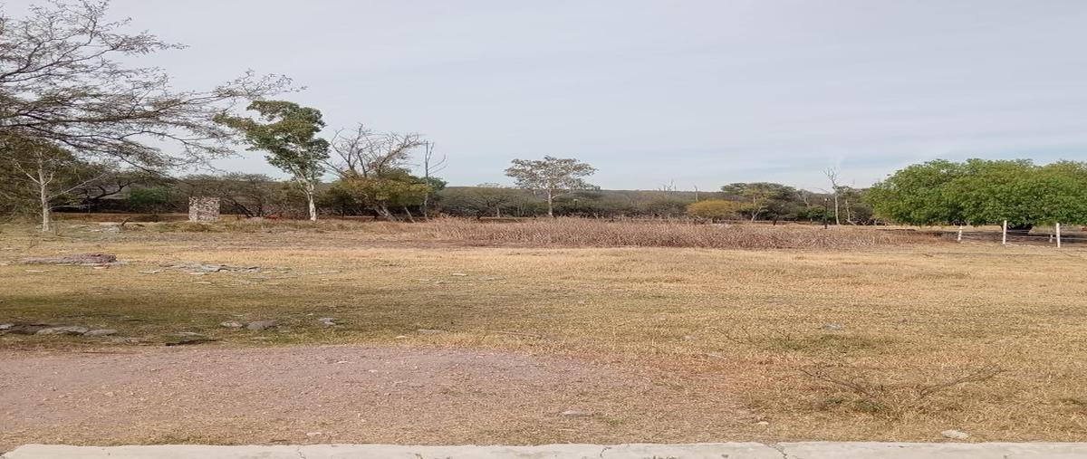 Foto de terreno habitacional en venta en higos , ejido apaseo el alto, apaseo el alto, guanajuato, 0 No. 03