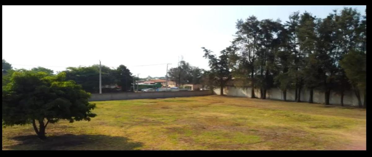 Foto de terreno habitacional en venta en higuera 79, tlajomulco centro, tlajomulco de zúñiga, jalisco, 28462575 No. 04