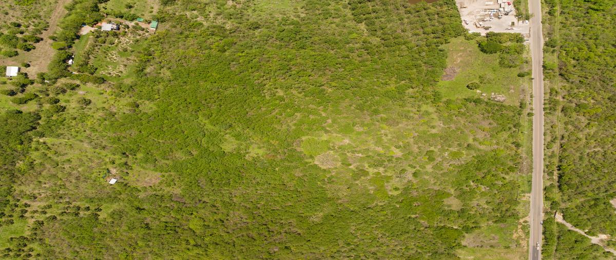 Foto de terreno habitacional en , higuera blanca, bahía de banderas, nayarit, 25521630 foto 02 Foto de terreno habitacional en venta en , higuera blanca, bahía de banderas, nayarit, 25521630 No. 02