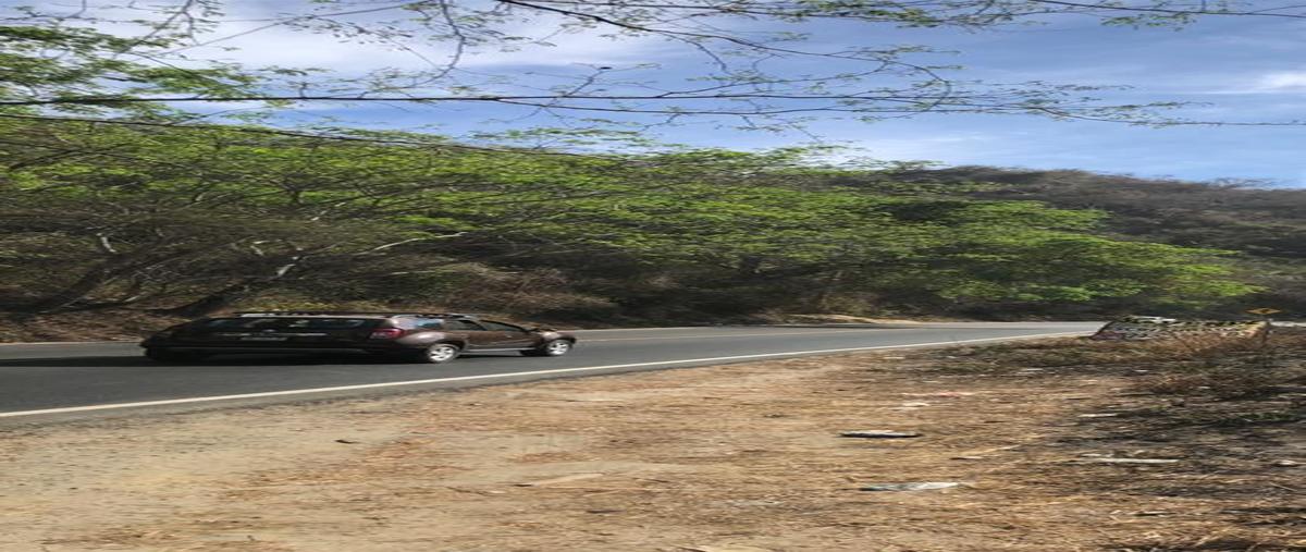 Foto de terreno habitacional en venta en  , higuera blanca, bahía de banderas, nayarit, 26760557 No. 03