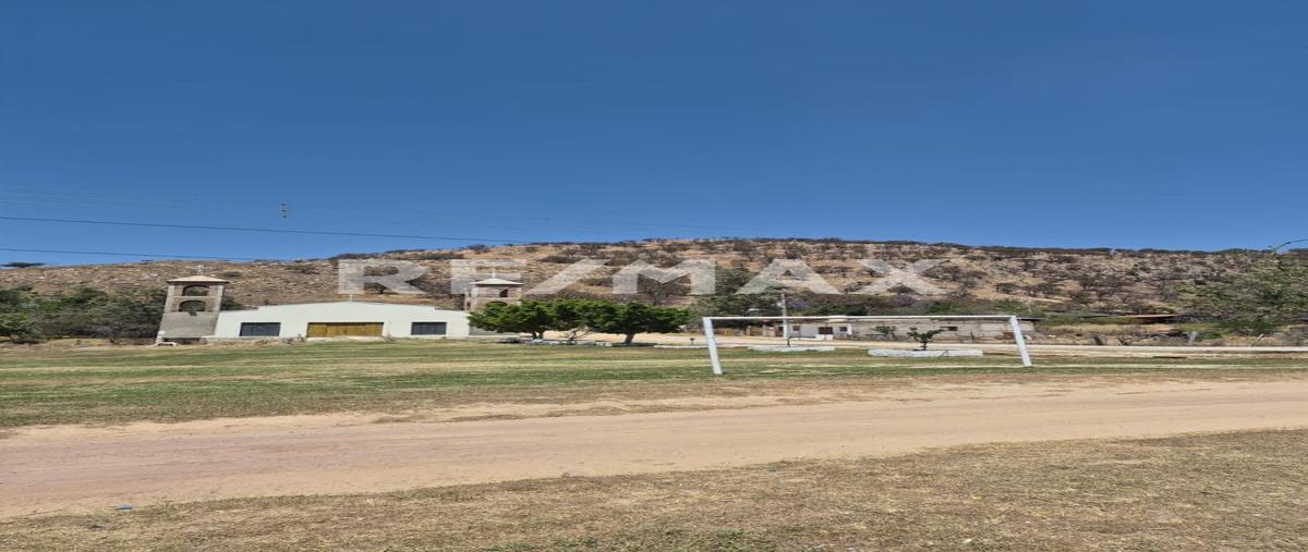 Foto de terreno habitacional en venta en higuera s/n , hacienda cópala, zapopan, jalisco, 0 No. 04